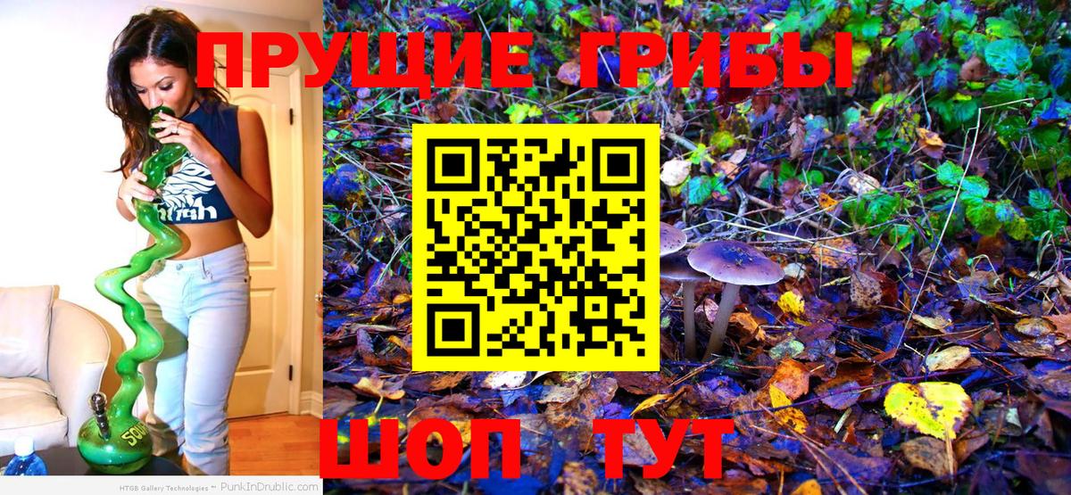 Галлюциногенные грибы Psilocybine cubensis  Вход с VPN  Кимры 