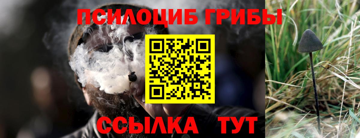 Галлюциногенные грибы MAGIC MUSHROOMS Кимры